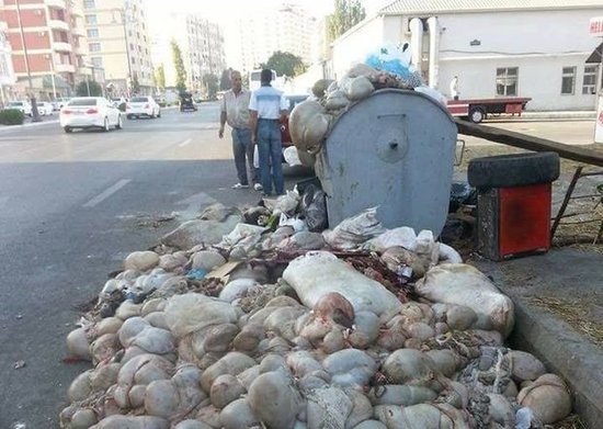 Bayramdan sonra yaranan çirkin mənzərə – VİDEO