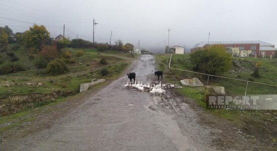 Oğuzda uzun illərdir təmir olunmayan yol yararsız vəziyyətə düşüb