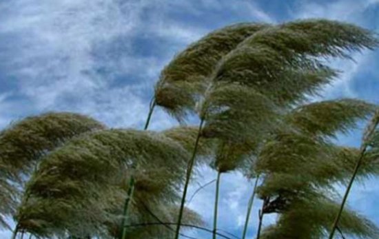 Sabah Azərbaycanda hava necə olacaq?