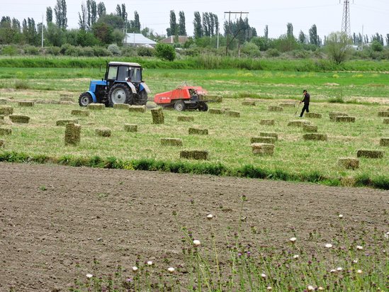 Sabirabadda baş verən ailə faciəsinin ilginc detalları - FOTOLAR