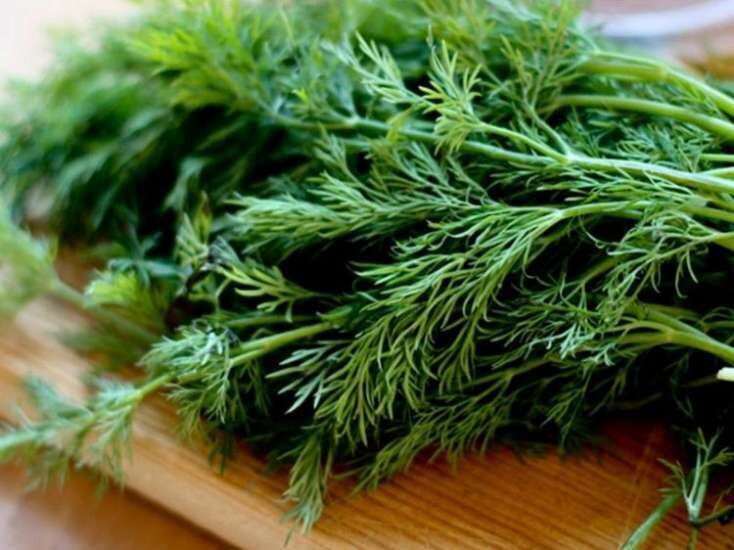 Şüyüdün sağlamlığa möcüzəvi təsiri - Həkimlər təsdiqləyir