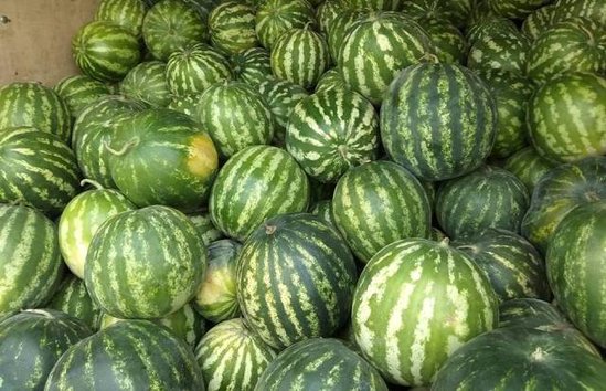 Qarpızın qiyməti düşəcək - SƏBƏB