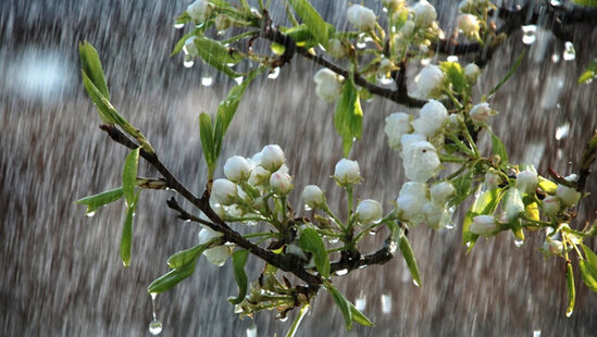 Bazar günü leysan yağacaq, dolu düşəcək - PROQNOZ