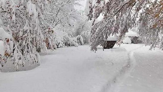 Azərbaycanda havanın temperaturu 5 dərəcə aşağı düşəcək/XƏBƏRDARLIQ:LEYSAN və QAR...