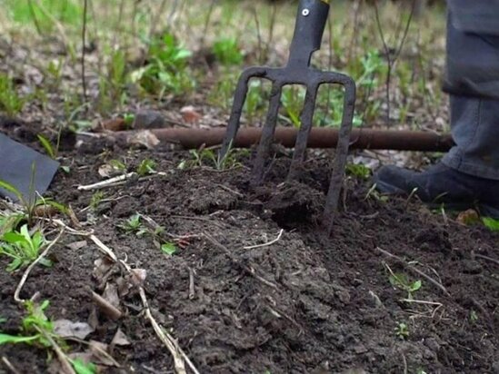 İki maştağalının qanlı davası: "Hamıya deyərik, məni at vurub, qorxma..." - Təfərrüat