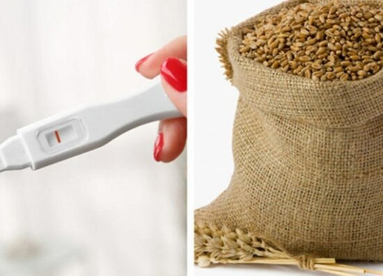 Buğda və arpa ilə hamiləlik testi, hətta uşağın qız və ya oğlan olacağı belə bilinir