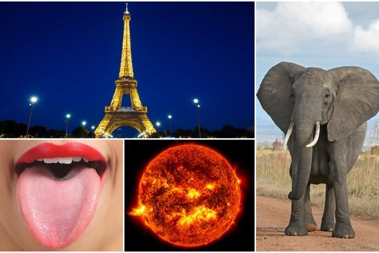 Günəş, fillər, dil, Fransa haqda BİLMƏDİYİNİZ 10 MƏLUMAT
