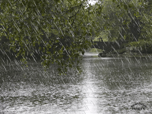 Bakıda ən çox bura yağış yağıb - AÇIQLANDI
