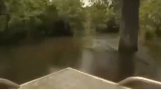 10 yaşlı uşaq ailəsinin gözü qabağında parçalandı - DƏHŞƏT VİDEO