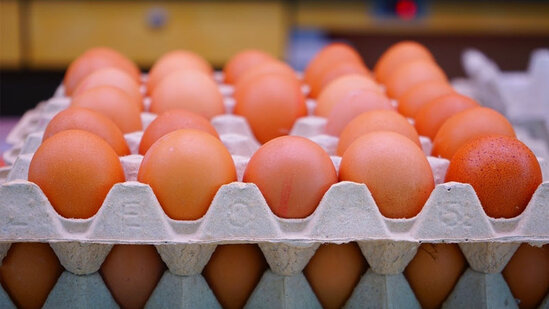 Kənd yumurtaları alarkən diqqətli olun!