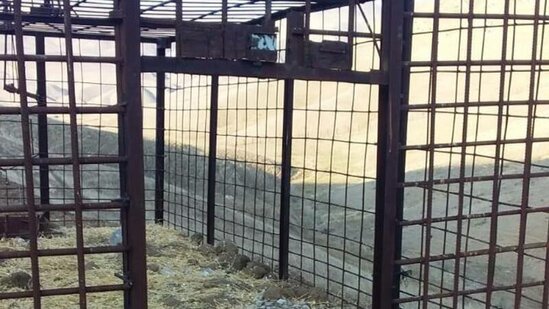 Azərbaycanda hər kəsi ŞOKA SALACAQ HADİSƏ: tələ qurur və nizə ilə... - FOTO