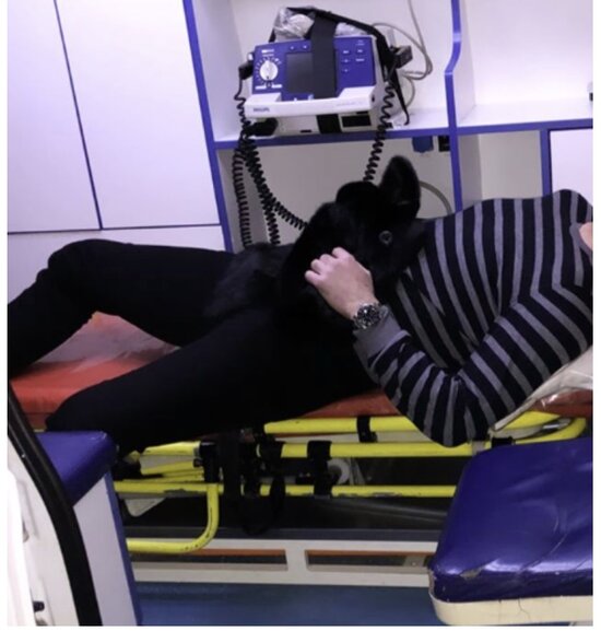 Kamran Ağayev qəzaya düşdü - Fotolar