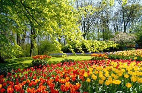 Bu həftə Azərbaycana yaz fəsli daxil olacaq