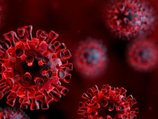 Professor koronavirus haqqında bəzi faktları açdı: "Karantinlər onu məhv etməyəcək"