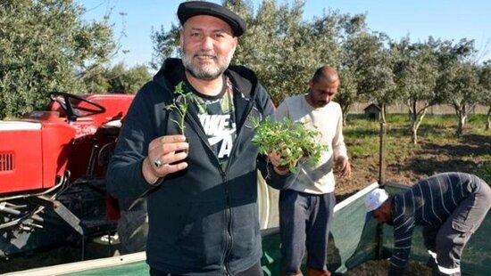 Karantinə görə toylarını fermada etdilər- FOTO