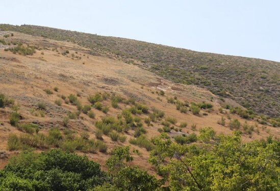 Erməni arxeoloqların "Tiqranakert" saxtakarlığı - Tarixi faktlar