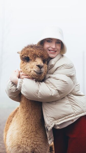 Prezidentin gəlininin alpaka fermasından maraqlı - Fotoları