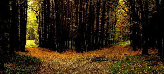 Səyahətə getmək istəyənlər mütləq oxusun! - FOTOLAR