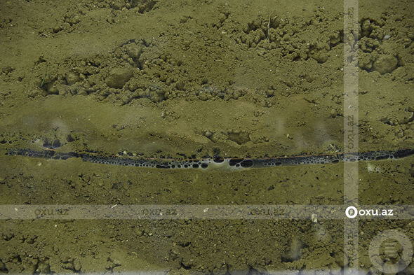 Azərbaycan istehsalı olan məhsulla ilkə imza atıldı - FOTO