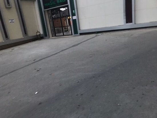 Bakıda ağacların dibi betonlanıb: Yaşıllaşdırma idarəsindən AÇIQLAMA - FOTO