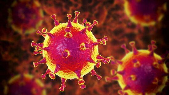 Koronavirusa qarşı GÜCLÜ SİLAH - Peyvənddən daha effektlidir