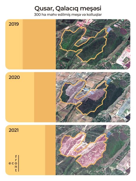 Meşə zolaqlarının qırılmasına görə kimlər məsuliyyət daşıyır? - AÇIQLAMA