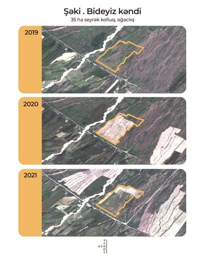 Meşə zolaqlarının qırılmasına görə kimlər məsuliyyət daşıyır? - AÇIQLAMA