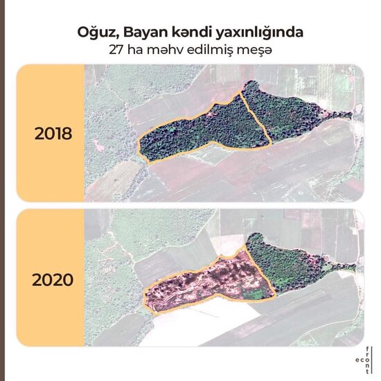 Meşə zolaqlarının qırılmasına görə kimlər məsuliyyət daşıyır? - AÇIQLAMA