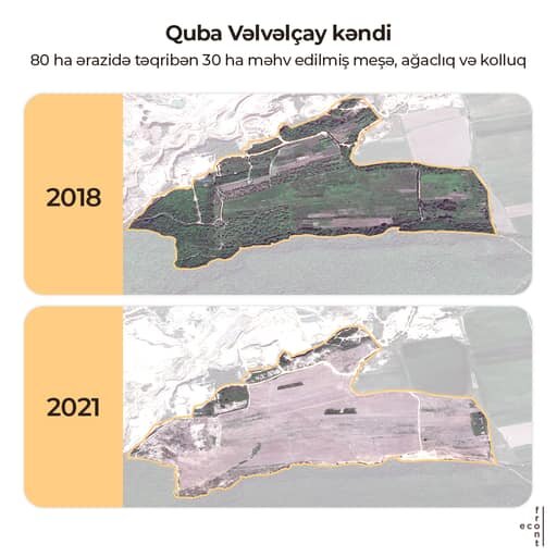 Meşə zolaqlarının qırılmasına görə kimlər məsuliyyət daşıyır? - AÇIQLAMA