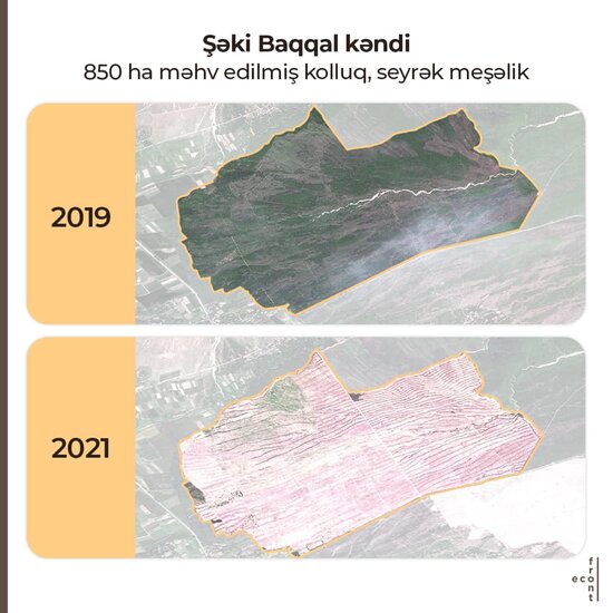 Meşə zolaqlarının qırılmasına görə kimlər məsuliyyət daşıyır? - AÇIQLAMA