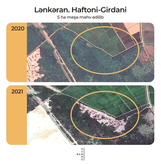 Meşə zolaqlarının qırılmasına görə kimlər məsuliyyət daşıyır? - AÇIQLAMA