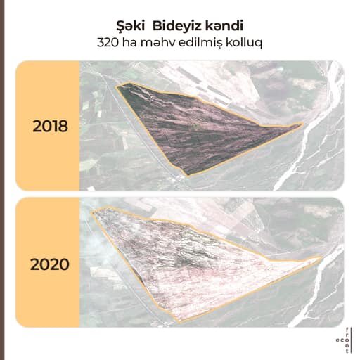 Meşə zolaqlarının qırılmasına görə kimlər məsuliyyət daşıyır? - AÇIQLAMA