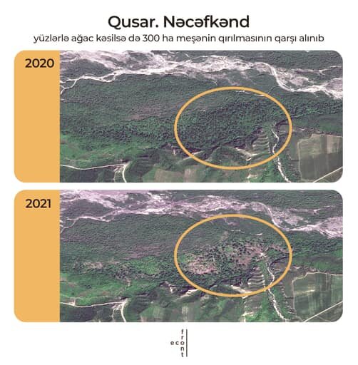 Meşə zolaqlarının qırılmasına görə kimlər məsuliyyət daşıyır? - AÇIQLAMA