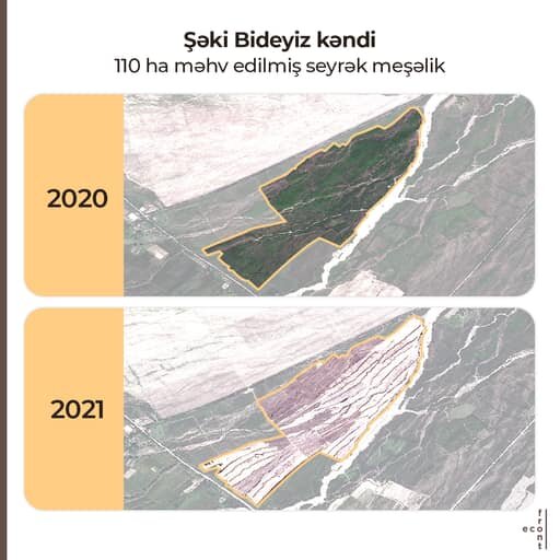 Meşə zolaqlarının qırılmasına görə kimlər məsuliyyət daşıyır? - AÇIQLAMA