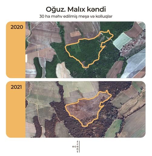 Meşə zolaqlarının qırılmasına görə kimlər məsuliyyət daşıyır? - AÇIQLAMA