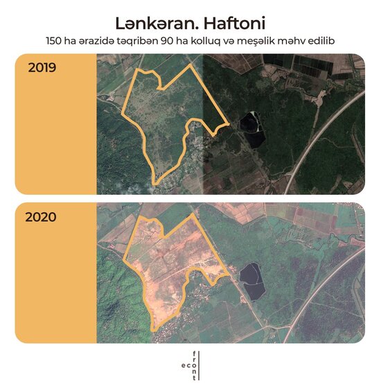 Meşə zolaqlarının qırılmasına görə kimlər məsuliyyət daşıyır? - AÇIQLAMA