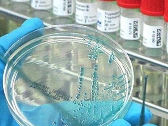 Araşdırma: Delta ştammı hər kəsi ovlayacaq!