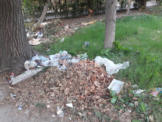 2 şəhidin abidəsi ucaldılan parkın baxımsızlığı ilə bağlı Binəqədi rayon İcra Hakimiyyətindən AÇIQLAMA