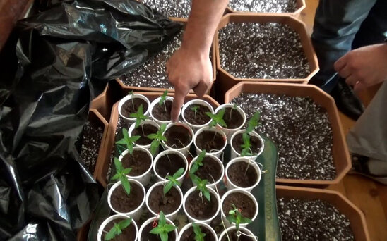 "Bandotdel" əməliyyat keçirdi - 13 nəfər saxlanılıb - VİDEO