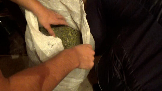 "Bandotdel" əməliyyat keçirdi - 13 nəfər saxlanılıb - VİDEO