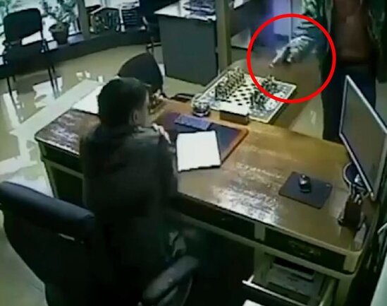 Qatil çox yaxın məsafədən iş adamını nişan ala bilmədi – ANBAAN VİDEO