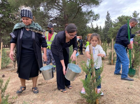 Binəqədidə ​"Vətən Müharibəsi Şəhidlərinin Anım Günü" ərəfəsində ağacəkmə aksiyası keçirilib