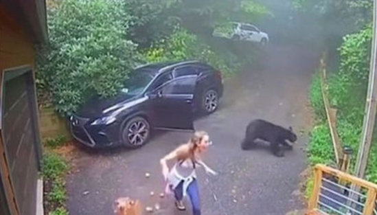 Çağırılmamış qonağı maşında kilidləmək cəhdi alınmadı – ANBAAN VİDEO