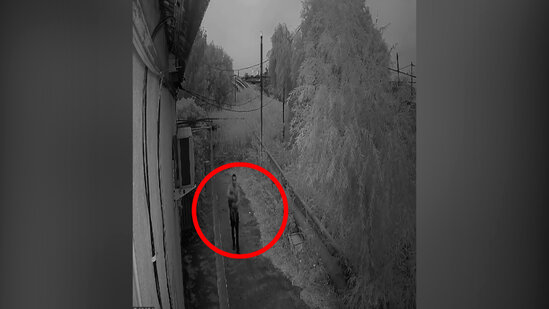 Bakıda 10-dan çox evdən və avtomobildən oğurluq edən şəxslər saxlanılıb - VİDEO