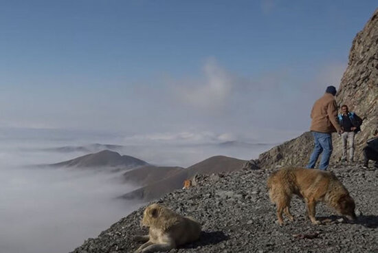 Kəlbəcərdən xüsusi görüntülər - VİDEO