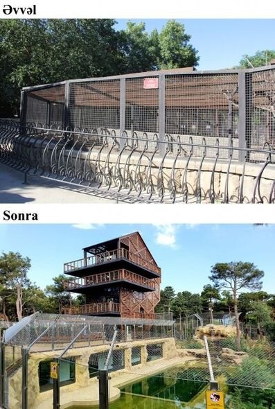 İlham Əliyev və Mehriban Əliyeva Bakı Zooloji Parkının açılışında - YENİLƏNİB + FOTO