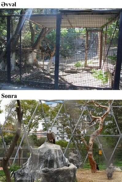 İlham Əliyev və Mehriban Əliyeva Bakı Zooloji Parkının açılışında - YENİLƏNİB + FOTO