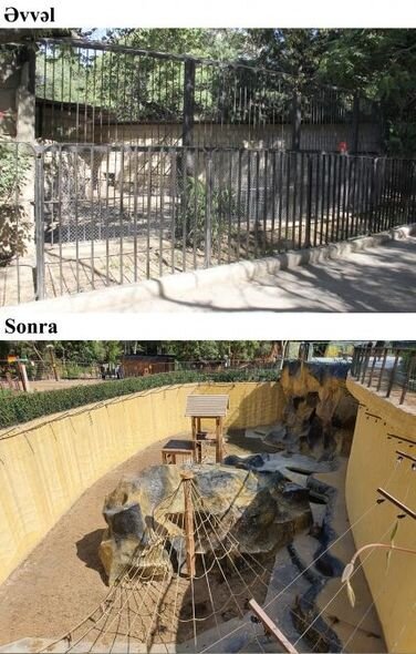 İlham Əliyev və Mehriban Əliyeva Bakı Zooloji Parkının açılışında - YENİLƏNİB + FOTO