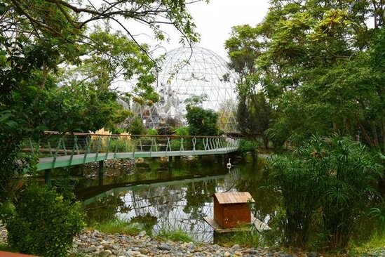 İlham Əliyev və Mehriban Əliyeva Bakı Zooloji Parkının açılışında - YENİLƏNİB + FOTO