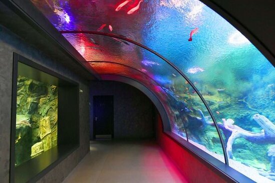 İlham Əliyev və Mehriban Əliyeva Bakı Zooloji Parkının açılışında - YENİLƏNİB + FOTO